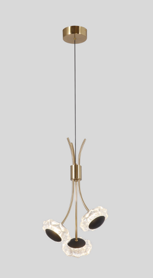 30 units of 3-LED pendant